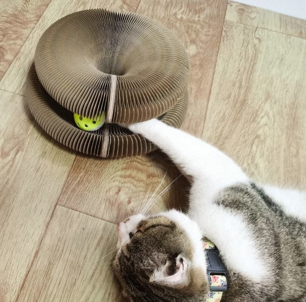 GATOPLAY DELUXE