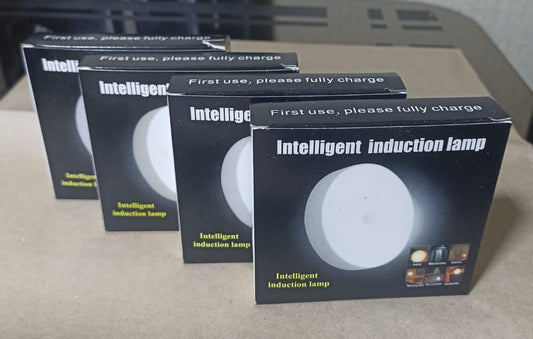 FOCO CON SENSOR DE MOVIMIENTO (4 unidades)