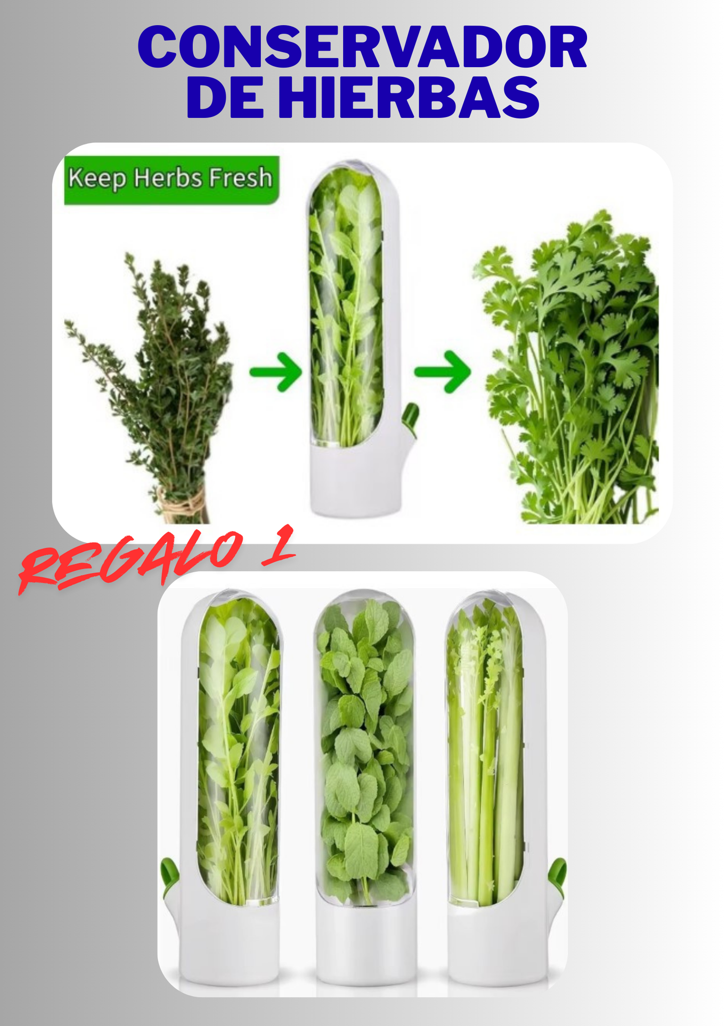 RALLADOR REBANADOR PREMIUN