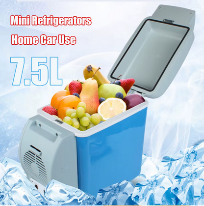 MINI REFRIGERADOR PORTATIL PARA CARRO